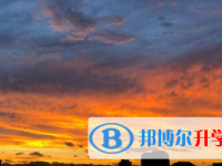 2021年宜賓中考填志愿的網站