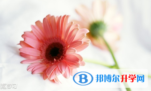 2021年阿壩中考網上報考信息平臺