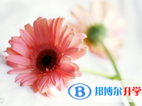2021年阿壩中考網上報考信息平臺