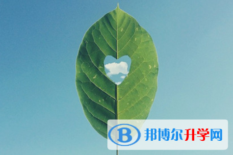 2021年阿壩中考網絡登錄