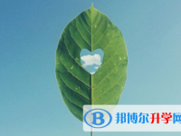 2021年阿壩中考網絡登錄