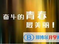 2021年阿壩中考網報