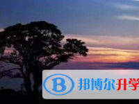 2021年宜賓中考網上模擬報名