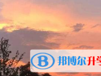2021年宜賓中考統考成績