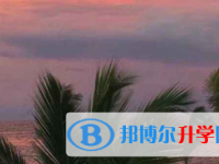 2021年宜賓如果中考沒考上讀什么好