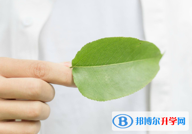 2021年廣元中考招生計劃查詢