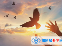 2021年甘孜中考后計劃