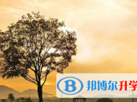 2021年宜賓孩子中考沒考好如何安慰