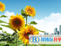 2021年宜賓中考網上志愿如何打印