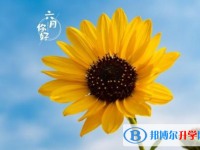 2021年廣元中考招生網絡應用服務平臺