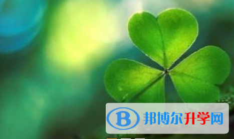 2021年甘孜中考200多的哪些學校要