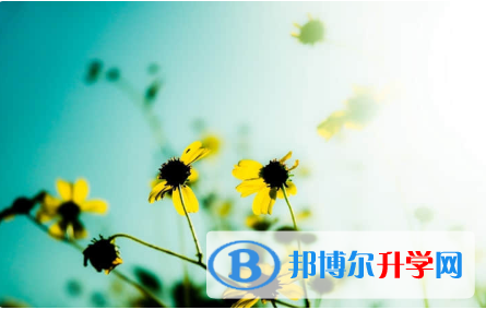 2021年渭南網上查詢中考成績怎么查詢