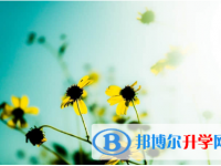 2021年渭南網(wǎng)上查詢中考成績(jī)?cè)趺床樵? /><b>2021年渭南網(wǎng)上查詢中考成績(jī)?cè)趺床樵?/b><span>2020-12-24 14:36</span><p>中考只不過(guò)是成長(zhǎng)路上一個(gè)小小的關(guān)卡，是一次小小的過(guò)渡，中考之后，真正的挑戰(zhàn)才剛剛開(kāi)始。如果你的成績(jī)達(dá)到了高中的錄取線，那</p></a></h3></li>
<li><h3><a href=