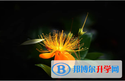 2021年渭南網上查詢中考成績