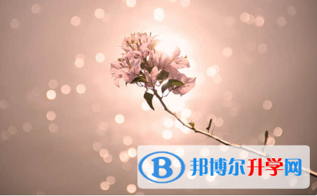 2021年渭南如何查詢中考錄取結果