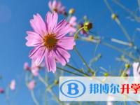 2021年涼山中考200多的哪些學校要