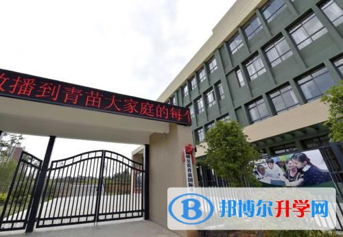 昆明呈貢青苗國際雙語學(xué)校2021年招生計劃