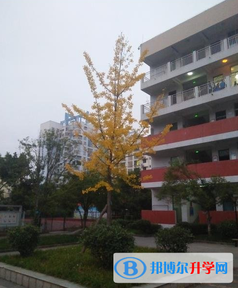 廣元市利州中學(xué)網(wǎng)站網(wǎng)址 