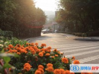 重慶長生橋中學校2025年招生簡章