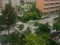 都江堰市南山中學實驗學校2021年報名條件、招生要求、招生對象