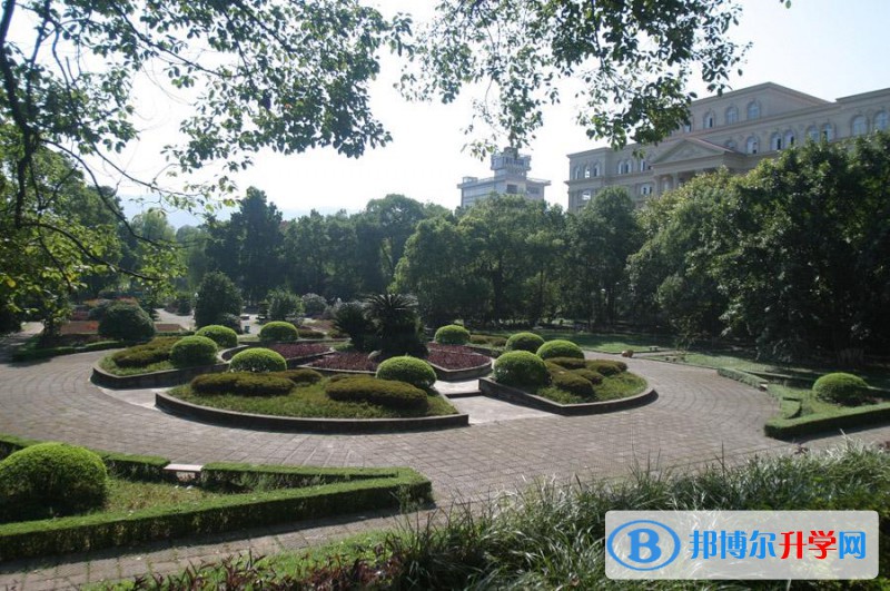 重慶兩江育才中學校網站網址