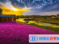 西秀區舊州中學網站網址主頁