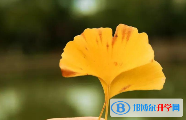 2021年廣元中考自主招生報名