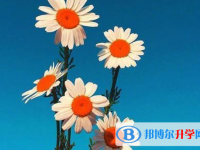 2021年廣元中考自主招生考試學校