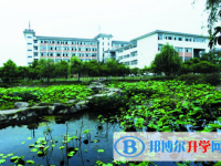 富順縣城關中學2025年招生代碼