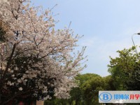 鶴慶一中網站網址主頁