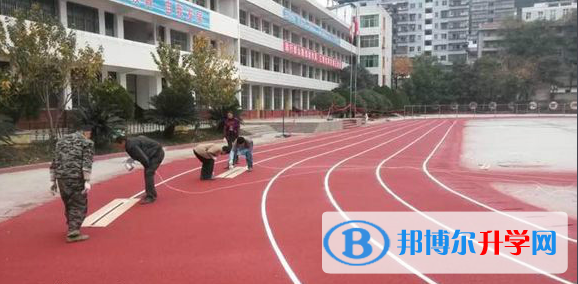 蒼溪縣歧坪中學網站網址 