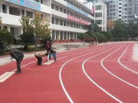 蒼溪縣歧坪中學2025年排名