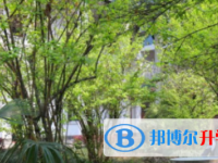 四川省犍為縣孝姑中學怎么樣、好不好