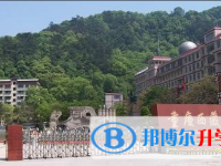重慶西藏中學(xué)2025年招生簡章