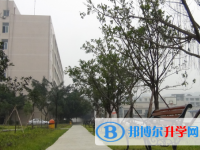 榮縣玉章高級(jí)中學(xué)校2025年招生代碼