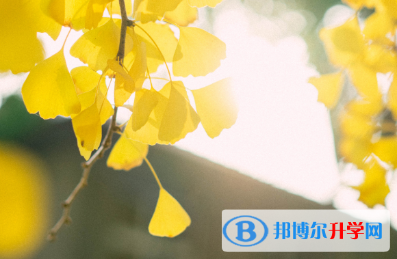 2021年廣元外地生參加中考