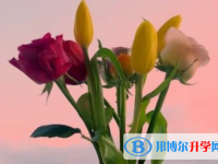2021年咸陽中考報名