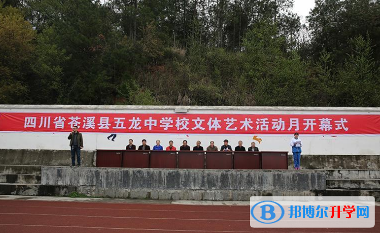 蒼溪縣五龍中學網站網址 