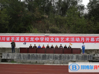 蒼溪縣五龍中學網站網址主頁