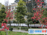 安縣秀水中學(xué)2025年學(xué)費(fèi)、收費(fèi)多少