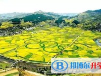 貴州開(kāi)陽(yáng)第四中學(xué)網(wǎng)站網(wǎng)址主頁(yè)