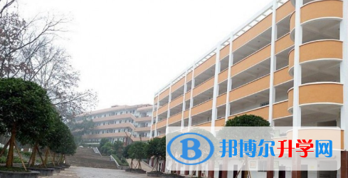 墊江第四中學校網站網址 