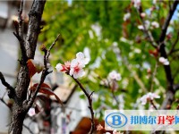 昆明實驗中學網站網址主頁