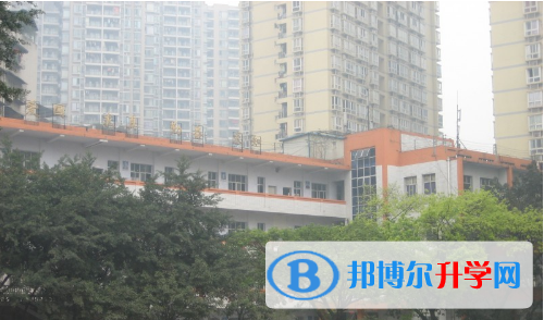 重慶市沙坪壩實驗中學校網站網址
