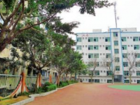 資中縣第三中學2023年招生錄取分數線