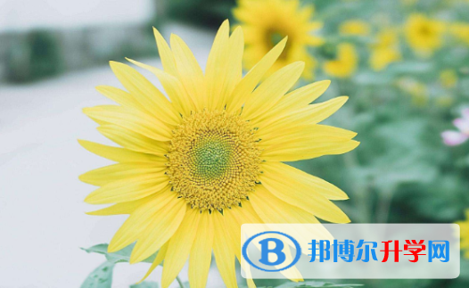 2021年廣元中考自主招生報名有哪些學校