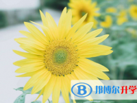 2021年廣元中考自主招生報名有哪些學校