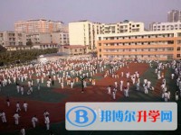 江油市第一中學(xué)2025年招生簡章