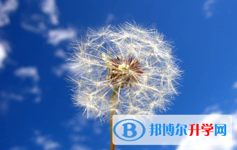  2021年渭南中考網(wǎng)絡(luò)應(yīng)用服務(wù)平臺成績查詢