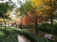 廣元市寶輪中學怎么樣、好不好